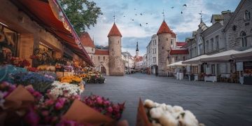 Tallinn castle flowers