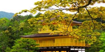 yellow temple kyoto japan