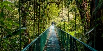 bridge costa rica monteverde
