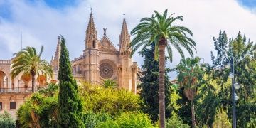 downtown mallorca spain building palm trees