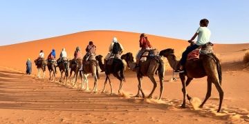 camel ride rabat study abroad
