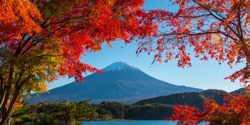 tokyo mountain leaves autumn