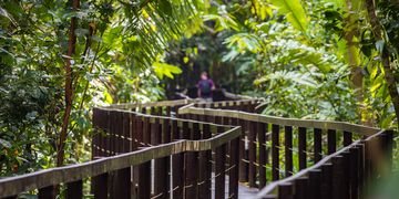 Monteverde