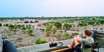 gaborone-man-watching-elephant-herd