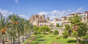 Palma