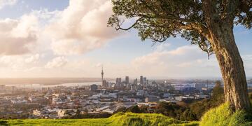 auckland-landscape-on-sunny-day.jpg