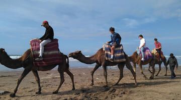 Gap year abroad students on camels in Morocco
