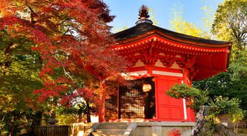 red temple in japan fall seasons