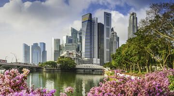 downtown singapore skyline flowers