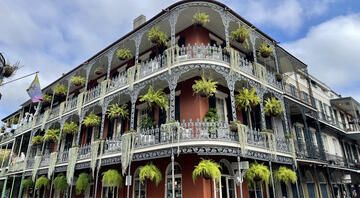 nola