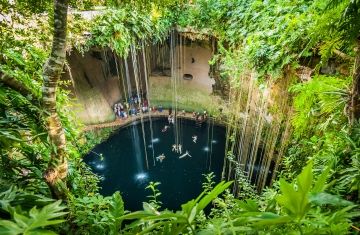 yucatan cenote water plants