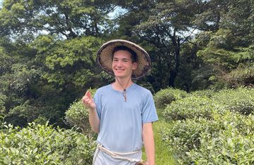 taipei_tea-leaf-picking.jpg