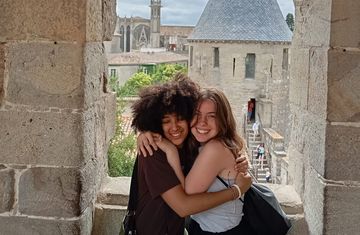 toulouse_summer_carcassonne-in-background.jpg