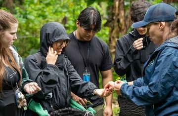 monteverde-costa-rica-participants-rain-plant