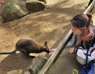 madison with a wallaby