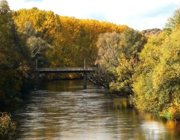 German river during fall