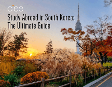 south korea study abroad the ultimate guide