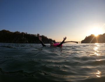 Sea Swimming