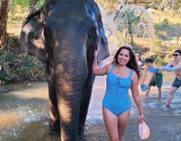 a young woman in a blue swimsuit smiles with an elephant in a creek as people throw water onto the elephant in the background