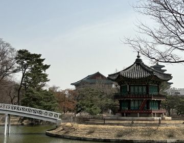 gyeongbokgung