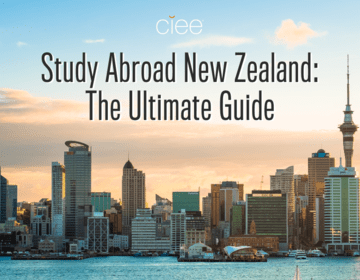 study abroad new zealand guide