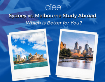 sydney vs melbourne study abroad