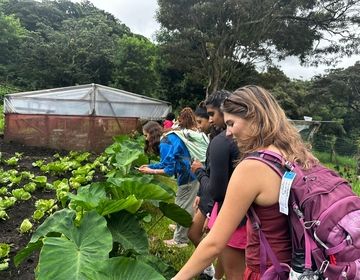 Students look at the campus garden. 
