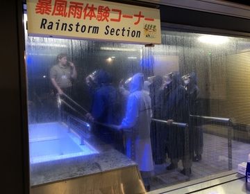 Group of CIEE students with instructor explaining what to do in a rainstorm