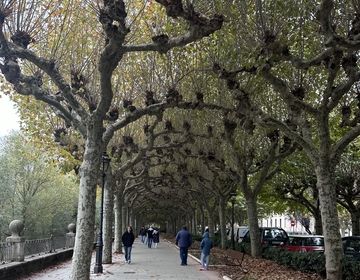 Burgos!