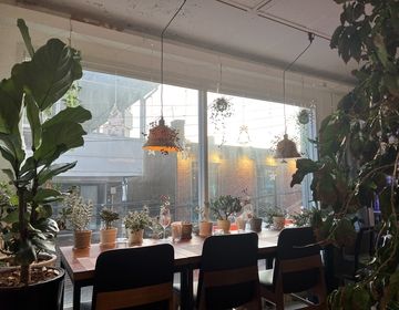 the view from our table at camouflage. so pretty!