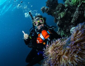 scuba diving australia study abroad ciee