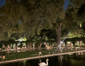 seville study abroad CIEE spain