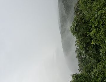 monteverde study abroad hike forest CIEE