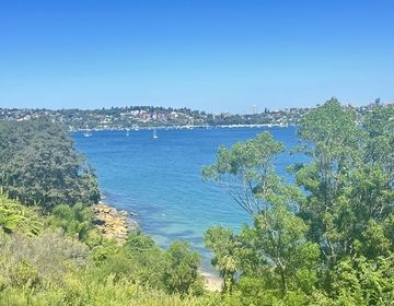 sydney study abroad CIEE ocean summer