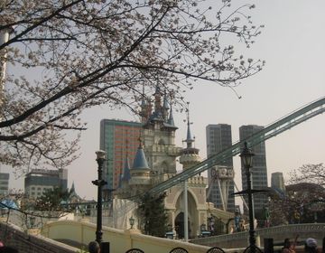 view of lotte world castle in the spring time with the branches of a cherry blossom tree in the foreground