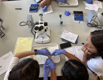 High school students hands-on science classroom learning