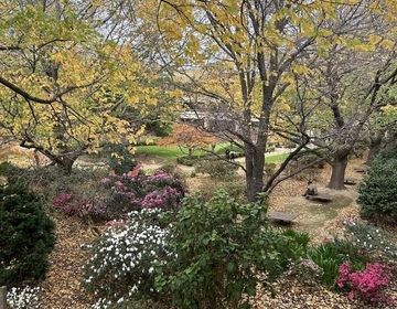 Gardens