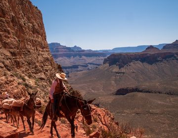 Emmanuel rode a horse through the Grand Canyon.