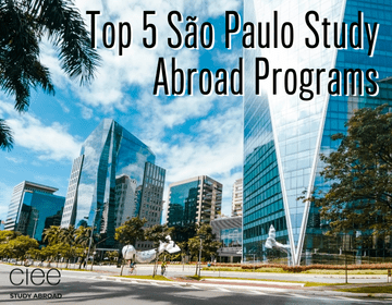 Top 5 São Paulo Study Abroad Programs