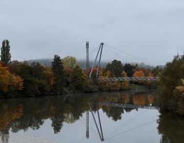 Leaves changing color in Germany