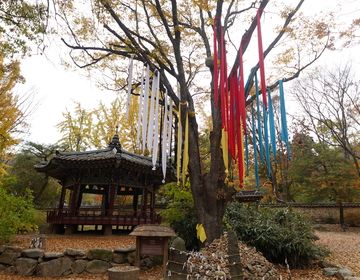 Cultural village tree