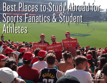 best places to study abroad for sports fanatics and student athletes
