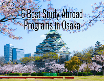 6 Best Study Abroad Programs in Osaka