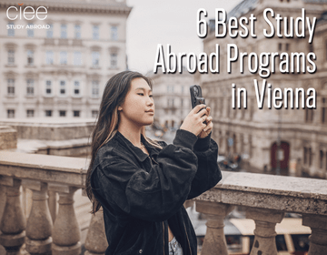 6 Best Study Abroad Programs in Vienna