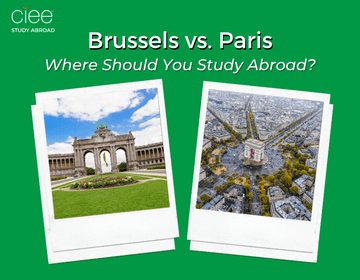 Brussels vs. Paris: Where Should You Study Abroad?