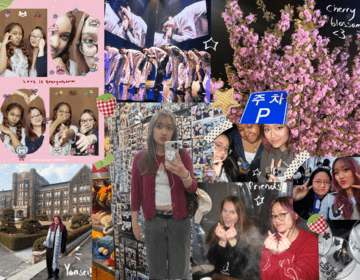 Collage of moments in Korea!