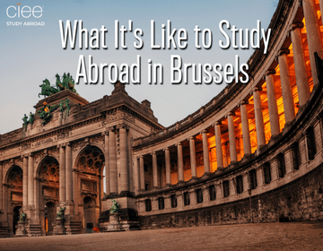 What It's Like to Study Abroad in Brussels