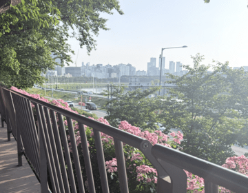 Scenic Image of Korea