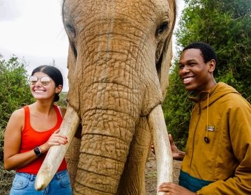 students with elephant in cape town