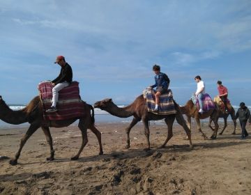 Gap year abroad students on camels in Morocco